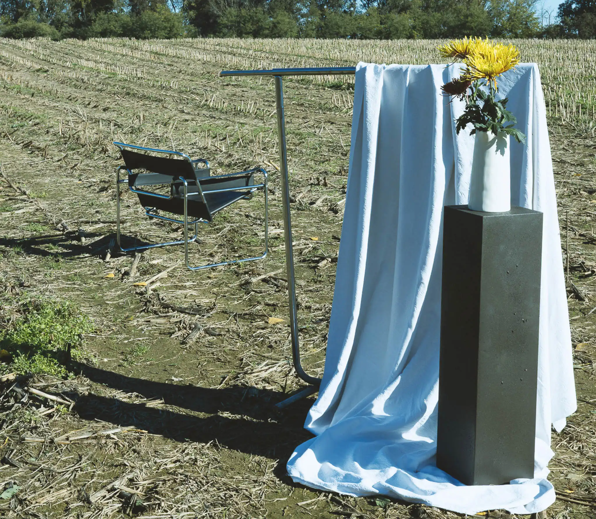 Colonna con vaso bianco contenente fiori e poltroncina modernista in pelle nera