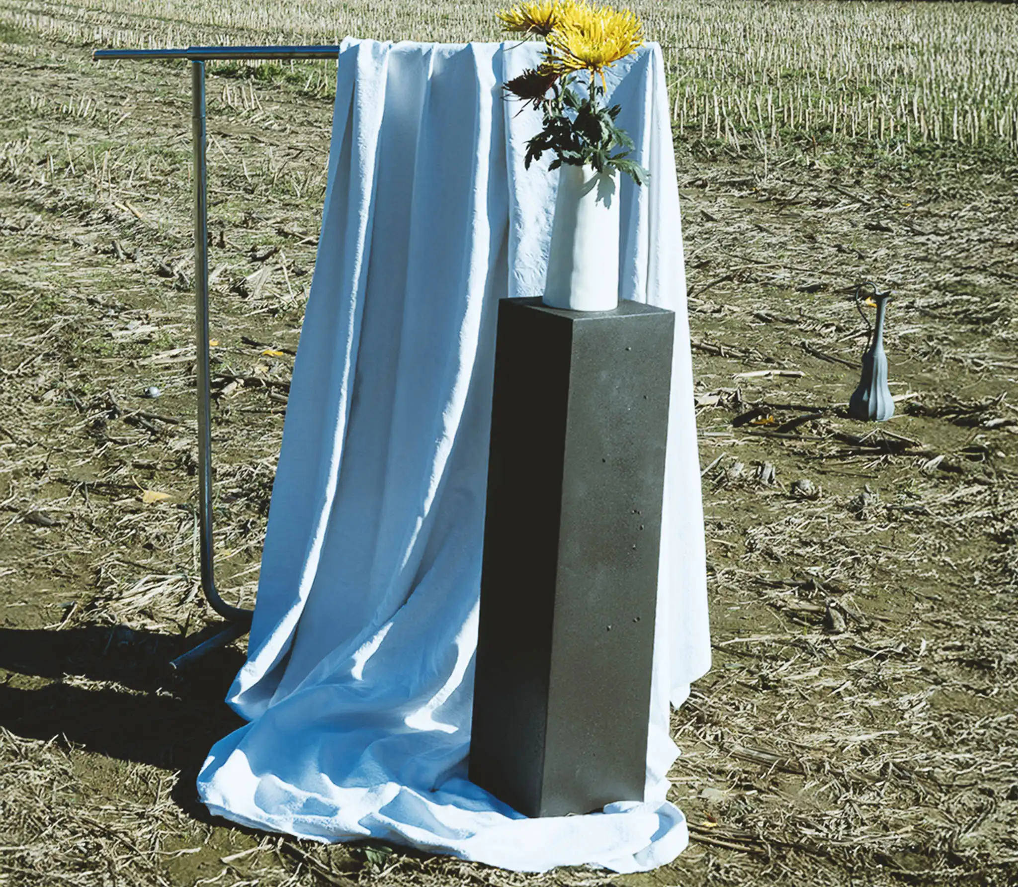 Colonna con vaso bianco contenente fiori giapponesi